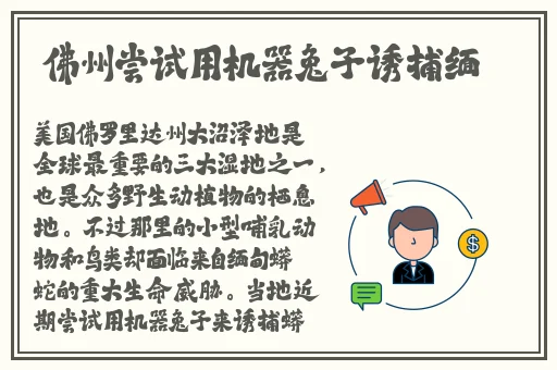 星空无限MV国产剧入选